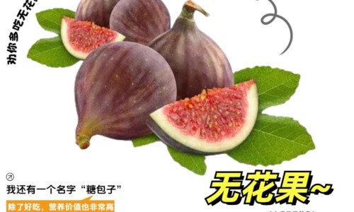 药店白芷每斤价格多少钱-专业药店白芷多少钱一克平台-白芷的价钱是多少一斤