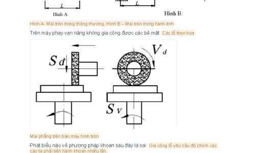 药店白芷每斤价格多少钱-专业药店白芷多少钱一克平台-白芷的价钱是多少一斤